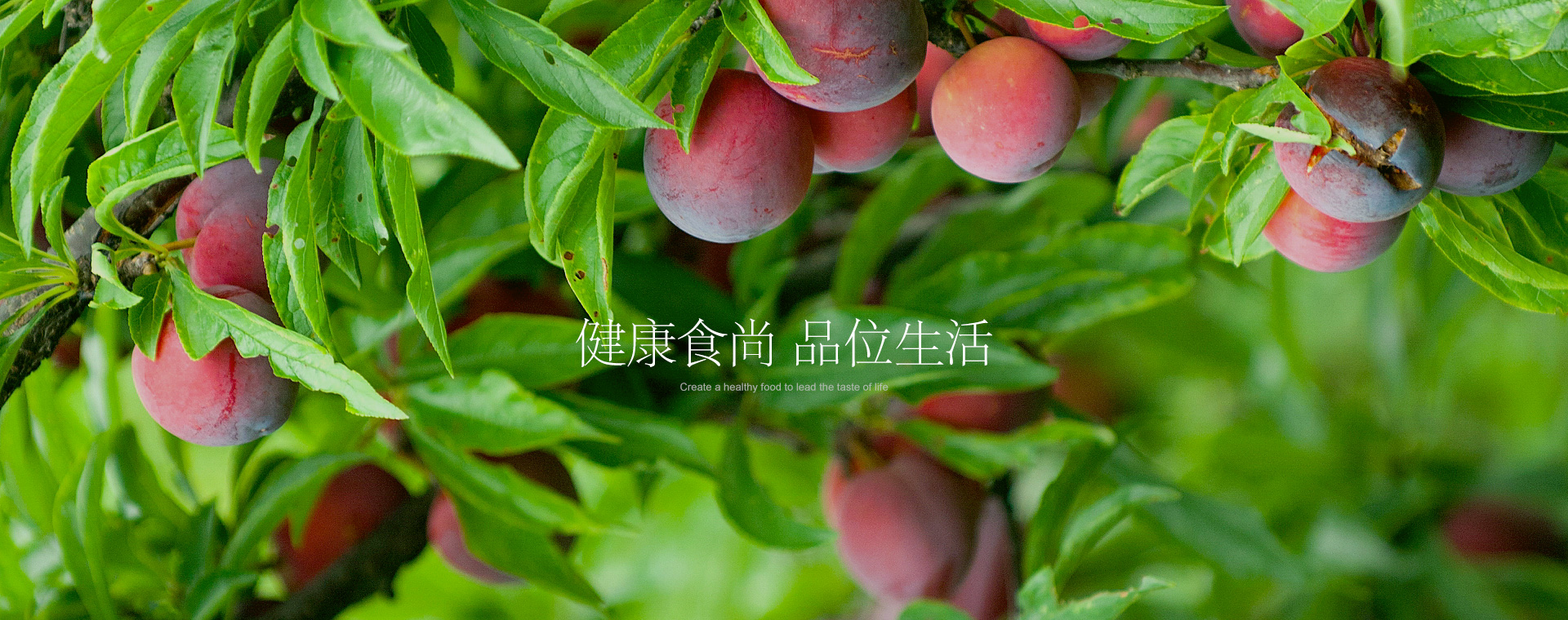 响应式绿色果蔬田园网站