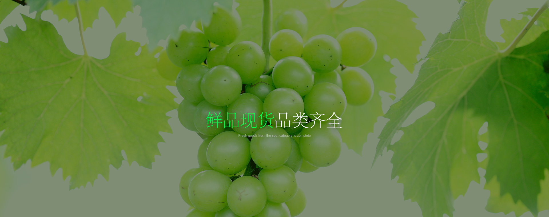 响应式绿色果蔬田园网站